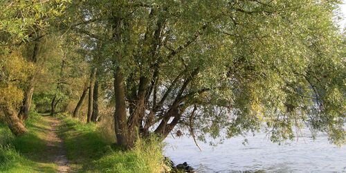 Donauinsel, Foto: Markt Windorf