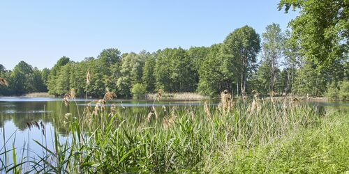 Calauer Schweiz: dem Himmel ein Stück näher