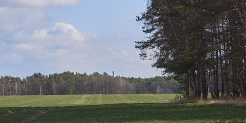 Blick zum Aussichtsturm, Foto: Boris Aehnelt, Lizenz: Boris Aehnelt