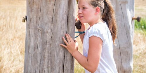 Baumtelefon Sellnitz, Foto: Florian Trykowski, Lizenz: Tourismusverband Sächsische Schweiz e.V.