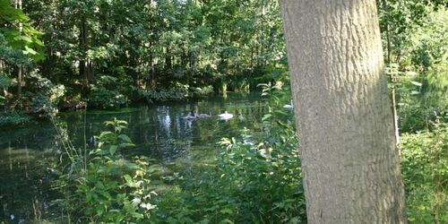 Durchs Seenparadies der Dahme