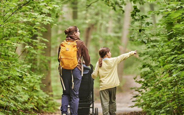 Waldpromenade, Foto: Florian Trykowski, Lizenz: Thüringer Tourismus GmbH