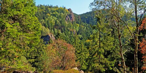 Lauchagrund Blick zum Aschenbergstein, Foto: Lenz