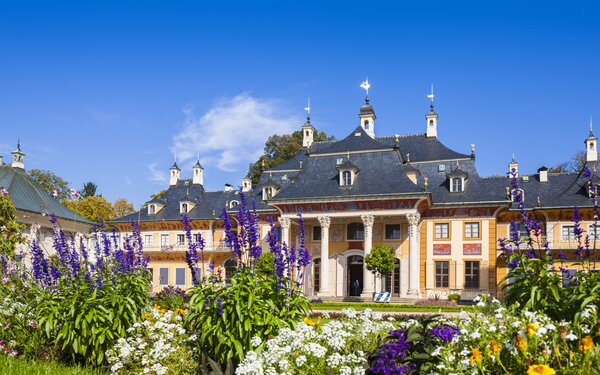 Schloss Pillnitz  Sylvio Dittrich