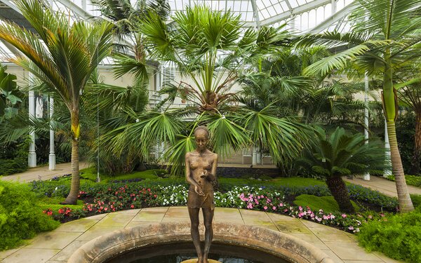 Im Palmenhaus  Sylvio Dittrich