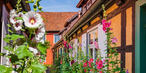 Heilgeistkloster Innenhof, Foto: TMV/Tiemann