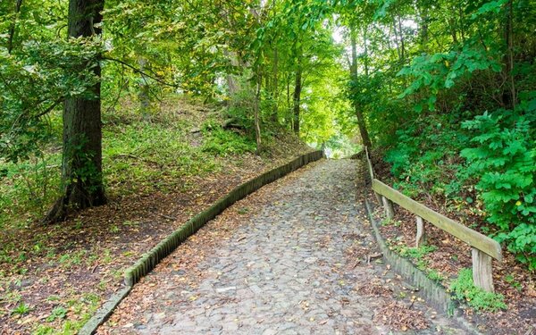 Burgwall der Michelenburg, Foto: Frank Burger