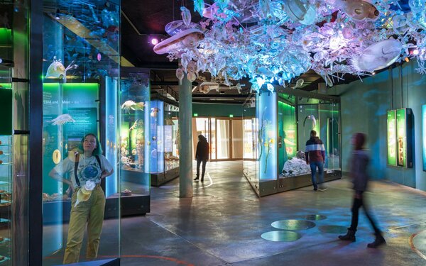 Die Ostsee-Ausstellung mit Planktonwolke im OZEANEUM, Foto: Anke Neumeister