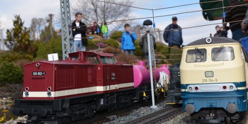 Gartenbahn Elster Natoureum, Foto:  Jens Thiere, Lizenz:  Jens Thiere