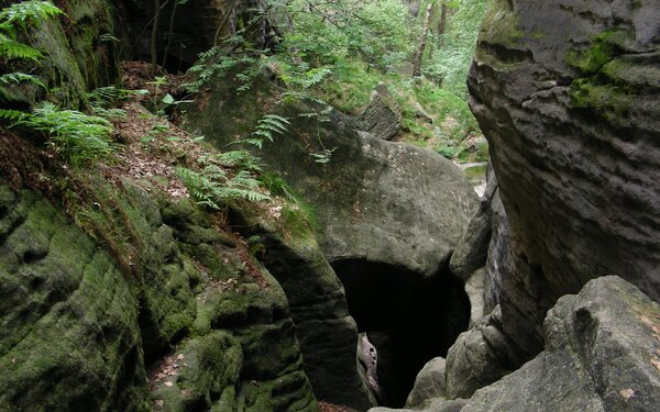 Riegelhofstiege am Großen Bärenstein  Martin Schmidt