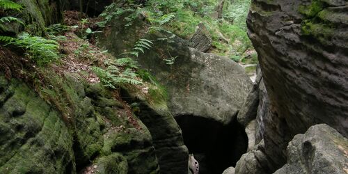 Bärensteine und Bio-Schokolade