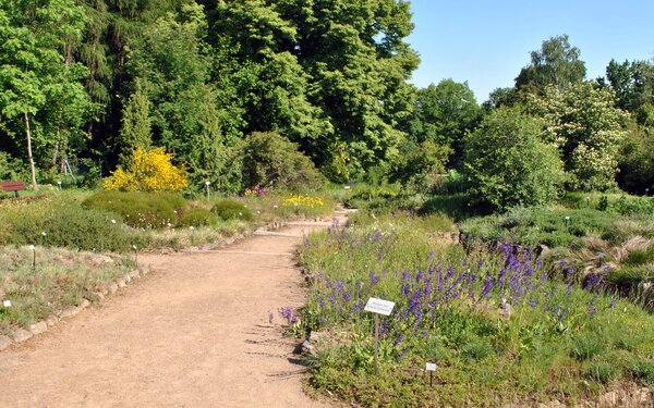 Boselgarten, Foto: Botanischer Garten der TU Dresden