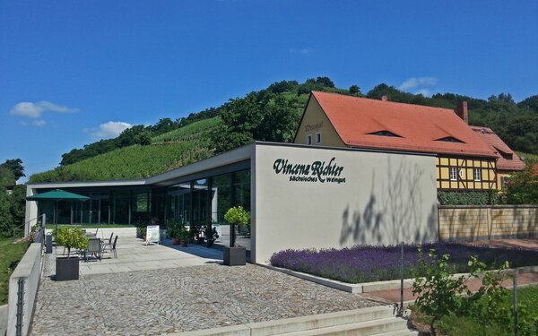 Weingut Vincenz Richter, Foto: Weingut Vincenz Richter