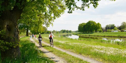 Radfahrer, Foto: ElsterPark, Lizenz: ElsterPark