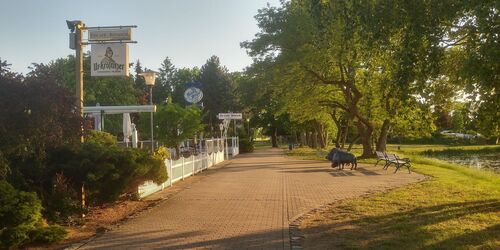 Promenade Kiebitz, Foto: TVEEL, Lizenz: TVEEL