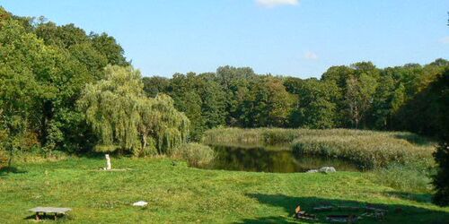 Blick in den Schlosspark, Foto: Franziska Mandel