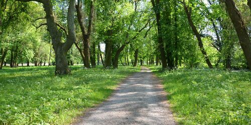 Weg durch den Schlosspark, Foto: Franziska Mandel