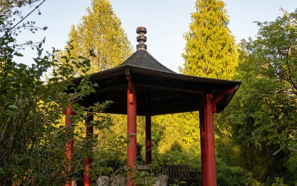 Forstbotanischer Garten Eberswalde - Blick auf den ostastiatischen Pavillon, Foto: C. Gohlke, Foto: FlorianBeyer