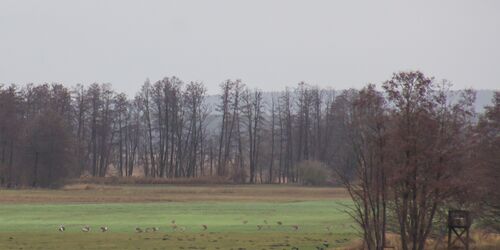 Blick vom Aussichtspunkt im Winter, Foto: Bansen/Wittig