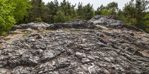 Rothsteiner Felsen, Foto: LKEE/Andreas Franke, Lizenz: LKEE/Andreas Franke