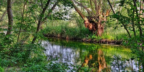 Wasser, Wildnis, Wanderlust