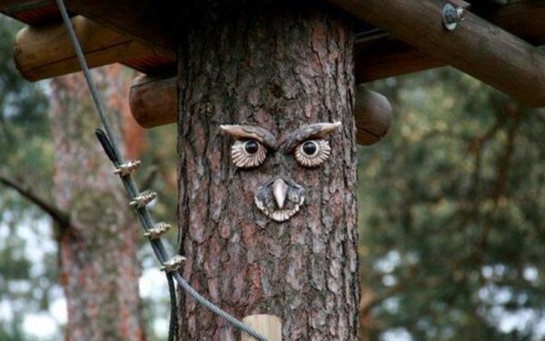 Kletterwald Lübben - Der Abenteuerpark im Spreewald